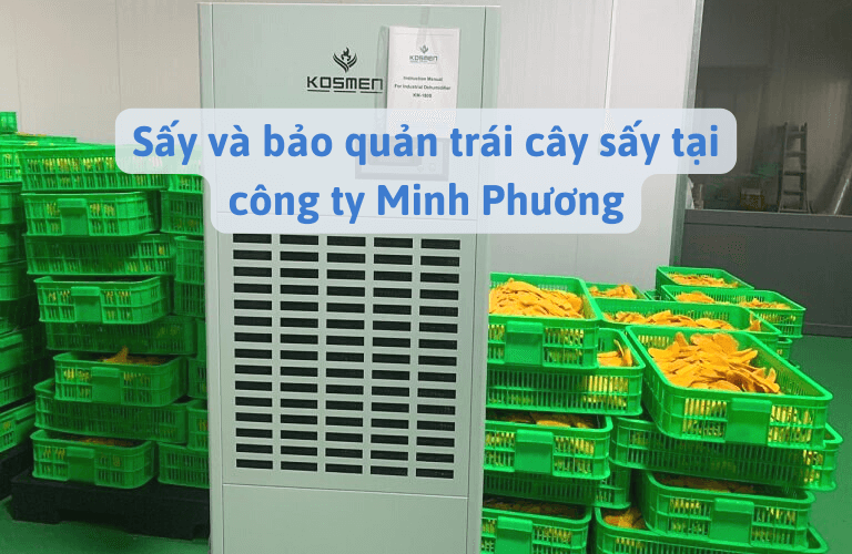 Sấy và bảo quản trái cây tại công ty Minh Phương